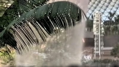 Sevgili dostlar, bundan böyle köşe yazılarımı ve düşüncelerimi yalnızca satırlarla